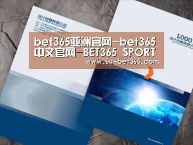 项目名称十