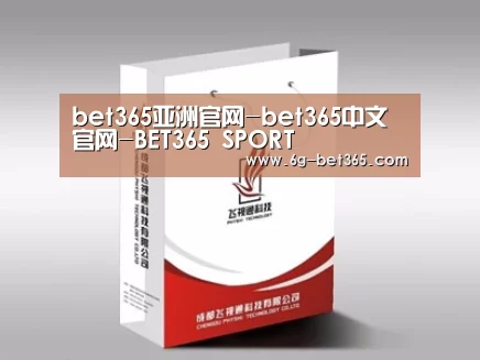 项目名称十三