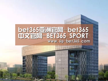 案例展示四