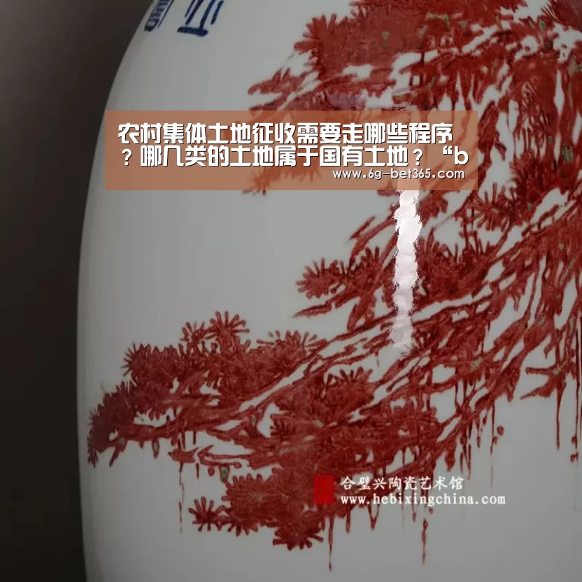 农村集体土地征收需要走哪些程序?哪几类的土地属于国有土地?“bet365”(图2) 农村集体土地征收需要走哪些程序?哪几类的土地属于国有土地?“bet365”(图2)